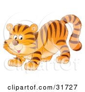 Poster, Art Print Of Playful Tiger Cub Crouching Down On His Front Legs Glancing Back