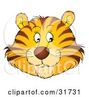 Poster, Art Print Of Friendly Tiger Face With Whiskers Glancing Off To The Right