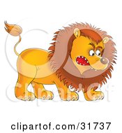 Clipart Illustration Of An Aggressive Young Male Lion Growling And Baring His Teeth