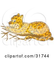 Poster, Art Print Of Cute Spotted Leopard Resting On A Tree Branch