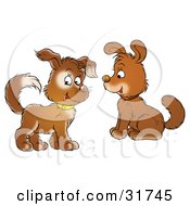 Poster, Art Print Of Two Cute Brown Puppy Dogs With Collars One Looking At The Viewer