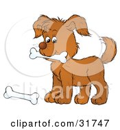 Poster, Art Print Of Playful Brown Puppy Carrying A Dog Bone In His Mouth Another On The Ground
