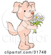 Clipart Illustration Of A Cute Dog Standing On Its Hind Legs Holding White Daisy Flowers