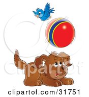 Poster, Art Print Of Playful Puppy Chasing A Ball A Bird Flying Above