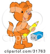 Poster, Art Print Of Orange Dog Standing On Its Hind Legs Holding A Pencil Near A Pencil Sharpener
