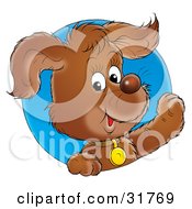 Poster, Art Print Of Happy Brown Puppy Wearing A Collar And Looking Through A Blue Circle