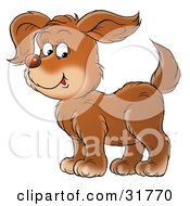 Poster, Art Print Of Happy Brown Puppy Dog In Profile Facing To The Left Glancing At The Viewer