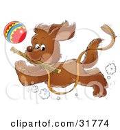 Poster, Art Print Of Energetic Puppy Running With A Stick In Its Mouth A Ball In The Background A Leash Trailing In The Air