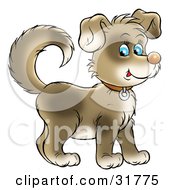 Poster, Art Print Of Cute Brown Puppy With Blue Eyes Wearing A Collar Facing To The Right And Glancing At The Viewer