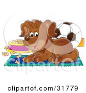Brown Puppy Resting On A Rug Near A Dish Of Dog Food And A Soccer Ball