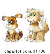 Poster, Art Print Of Cute Blue Eyed Brown Puppy Sitting By Its Green Eyed Parent