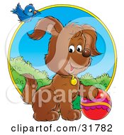 Poster, Art Print Of Blue Bird Flying Above A Playful Puppy With A Ball