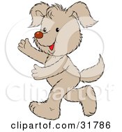 Poster, Art Print Of Happy Pale Brown Puppy Running On Its Hind Legs Holding Its Arms Out