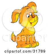 Poster, Art Print Of Cute Yellow And Orange Puppy Sitting And Facing To The Right