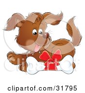 Brown Puppy Drooling Over A Dog Bone With A Red Bow On It