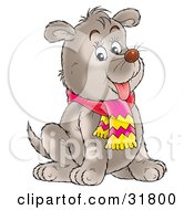 Chubby Gray Puppy Dog With Faint Spot Markings Sitting And Wearing A Scarf