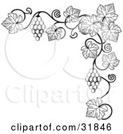 Clipart Illustration Of A Black And White Grape Vine With Bunches Of Grapes And Leaves Curling Along A Top Right Corner Edge