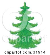 Perfect Green Christmas Tree With Branches Waiting To Be Decorated On A White Background