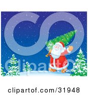 Poster, Art Print Of Kris Kringle Waving And Carrying A Freshly Cut Christmas Tree Over His Shoulder Through A Snowy Winter Landscape