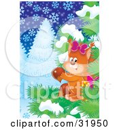 Female Squirrel Wearing A Bow Gathering Acorns In An Evergreen Tree Against A Snowing Winter Background