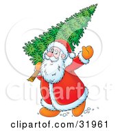 Clipart Illustration Of Kris Kringle Waving While Carrying A Fresh Cut Christmas Tree Over His Shoulder
