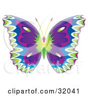 Poster, Art Print Of Colorfully Patterned Butterfly With Green White Blue Pink And Purple Wings