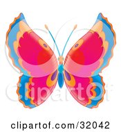 Poster, Art Print Of Butterfly With Blue Orange Pink Red And Purple Wings And An Orange And Blue Body