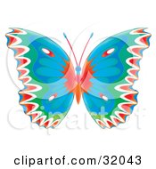 Poster, Art Print Of Colorfully Patterned Butterfly With Red White Green And Blue Wings