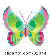 Poster, Art Print Of Butterfly With Red Blue Green And Orange Wings And A Blue Pink And Red Body