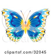 Poster, Art Print Of Colorfully Patterned Butterfly With Orange And Blue Wings