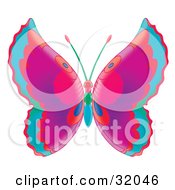 Poster, Art Print Of Butterfly With Blue Red Purple And Pink Wings And A Red Green And Blue Body