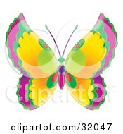 Poster, Art Print Of Butterfly With Purple Green Red And Yellow Wings And A Green Pink And Purple Body