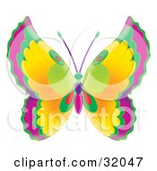 Clipart Illustration Of A Butterfly With Purple Green Red And Yellow Wings And A Green Pink And Purple Body