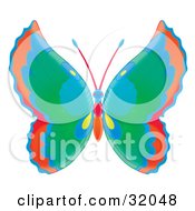 Poster, Art Print Of Butterfly With Orange Blue Green And Yellow Wings And A Blue Red And Orange Body