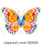 Poster, Art Print Of Colorfully Patterned Butterfly With Blue White Red Yellow And Orange Wings