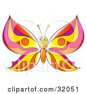 Poster, Art Print Of Friendly Butterfly With Orange Purple And Yellow Patterned Wings