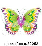 Clipart Illustration Of A Colorfully Patterned Butterfly With Purple White Yellow And Green Wings