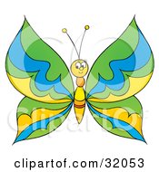 Poster, Art Print Of Friendly Butterfly With Green Blue And Yellow Patterned Wings