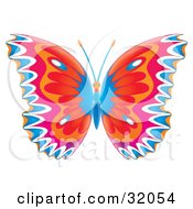 Poster, Art Print Of Colorfully Patterned Butterfly With Blue White Pink Orange And Blue Wings