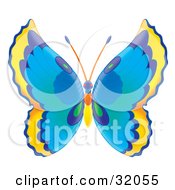 Poster, Art Print Of Butterfly With Yellow Blue And Green Wings And A Blue Orange And Yellow Body