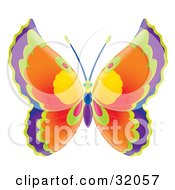 Poster, Art Print Of Butterfly With Purple Green Orange Yellow And Pink Wings And A Green Blue And Purple Body