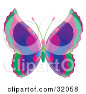 Poster, Art Print Of Butterfly With Green Pink Purple And Blue Wings And A Pink And Green Body