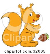Poster, Art Print Of Squirrel Glancing At The Viewer While Reaching For An Acorn