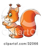 Poster, Art Print Of Green Eyed Orange Squirrel Glancing At The Viewer While Facing Left