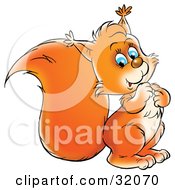 Clipart Illustration Of An Adorable Blue Eyed Orange Squirrel Looking At The Viewer by Alex Bannykh