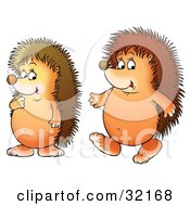 Clipart Illustration Of Two Friendly Hedgehogs Walking Together by Alex Bannykh