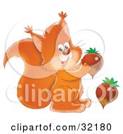 Poster, Art Print Of Friendly Squirrel Smiling At The Viewer And Holding An Acorn