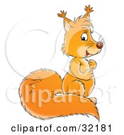 Poster, Art Print Of Cute Squirrel With A Bushy Tail Rubbing Its Belly