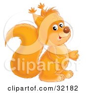 Poster, Art Print Of Adorable Orange Squirrel Facing To The Right