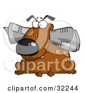 Chubby Brown Dog Sitting With A Newspaper In His Mouth On A White Background